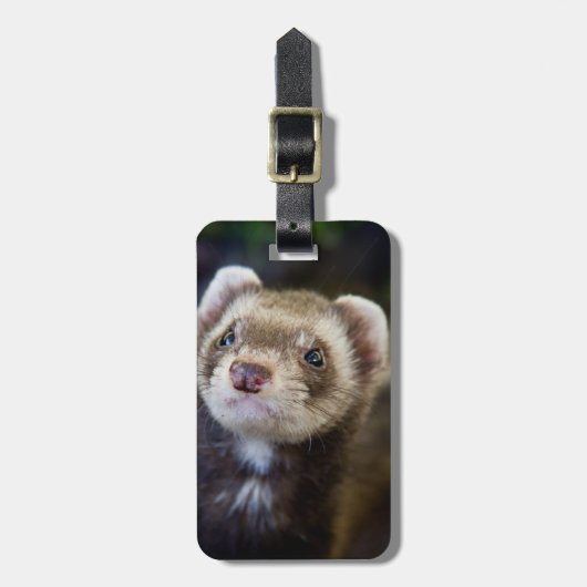 Ferret Bagagelabel (Voorkant verticaal)