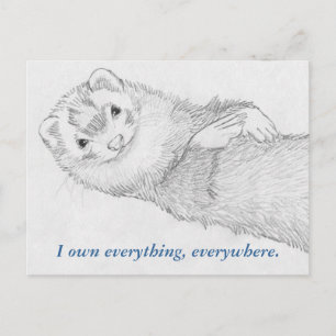 Ferret Briefkaart - Pandora Owns