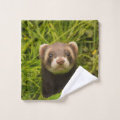 Ferret Brown mignon dans l'herbe photo (Gant de toilette)