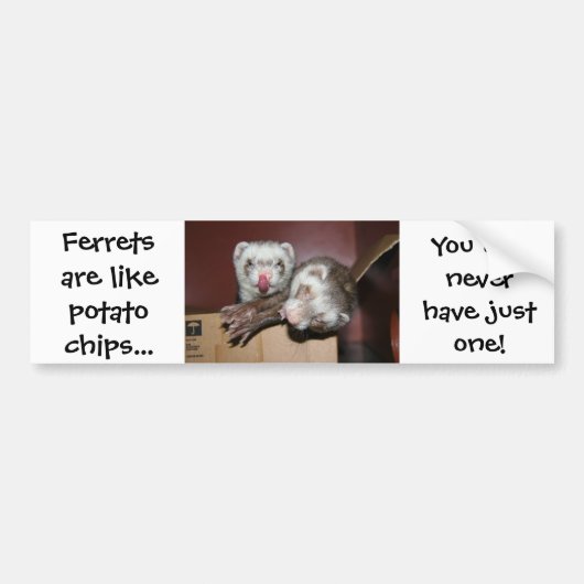 Ferret Bumpersticker (Voorkant)