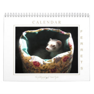 Ferret Calendar 1st Edition Kalender