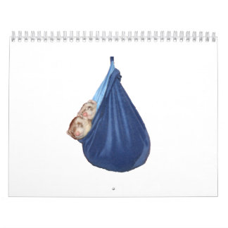 Ferret Calendar 2011 Kalender