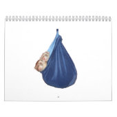 Ferret Calendar 2011 Kalender (Hoes)