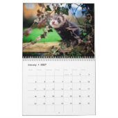 Ferret Calendrier 2021 (Jan 2027)