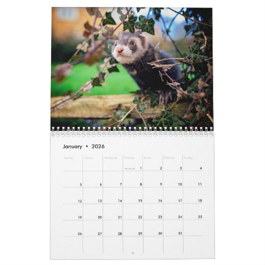 Ferret Calendrier 2021 (Jan 2026)