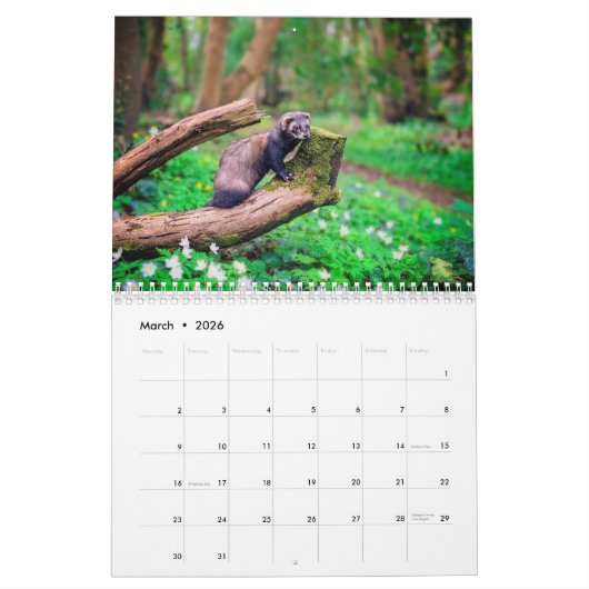 Ferret Calendrier 2021 (Mar 2026)