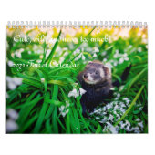 Ferret Calendrier 2021 (Protection)