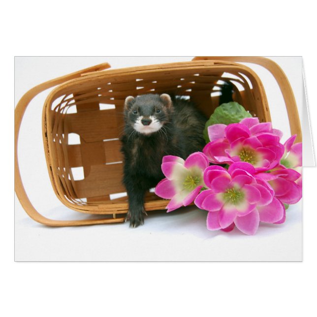 Ferret Card (Voorkant Horizontaal)
