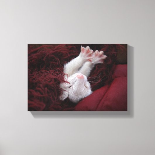 Ferret December - Uitgerekte Canvas Prints (Voorkant)