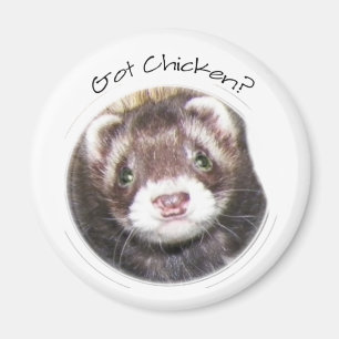 Ferret Face Afbeelding Magneet