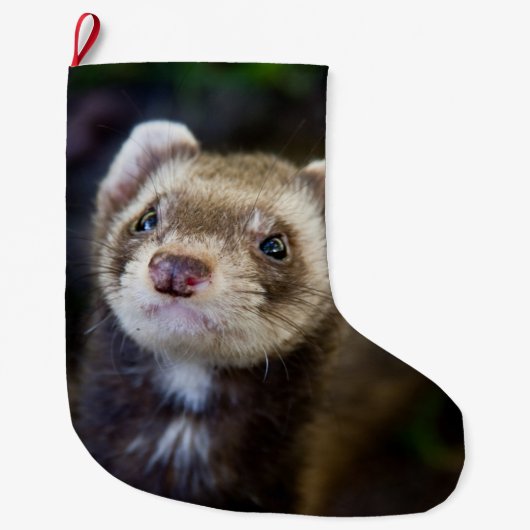 Ferret Grote Kerstsok (Voorkant)