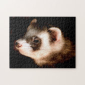 Ferret Head Close up, Jigsaw Puzzle (Horizontal)