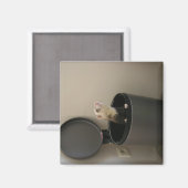 Ferret in een afvalbak magneet (Voorkant / Achterkant)