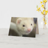 Ferret Kaart (Gele Bloem)