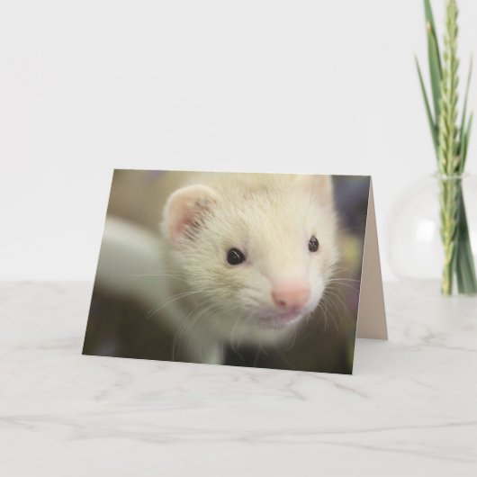Ferret Kaart (Voorkant)