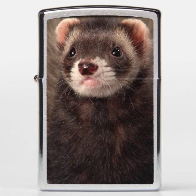 Ferret Lighter - Weasel Zippo Lighter (Voorkant)