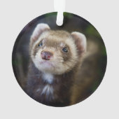 Ferret Ornament (achterkant)
