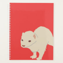 Ferret-planner