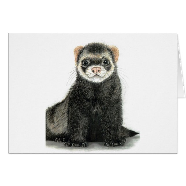 Ferret plezier! (Voorkant Horizontaal)