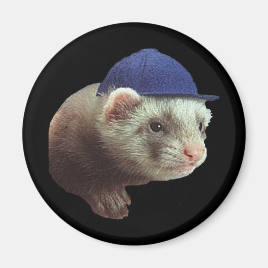Ferret portant un aimant Casquette (Devant)