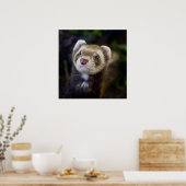 Ferret Poster (Keuken)