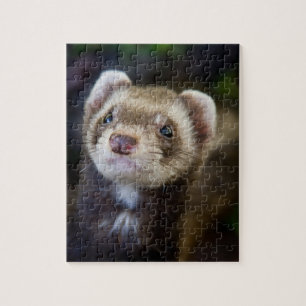 Ferret puzzle legpuzzel