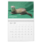 Ferret Rescue Benefit Calendar Kalender (Mar 2027)