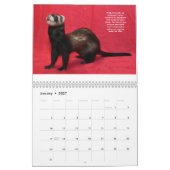 Ferret Rescue Benefit Calendar Kalender (Jan 2027)