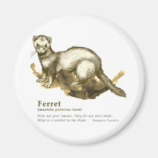 Ferret - sepia magneet