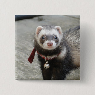 Ferret Vierkante Button 5,1 Cm