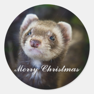 Ferret Vrolijk kerstfeest Ronde Sticker