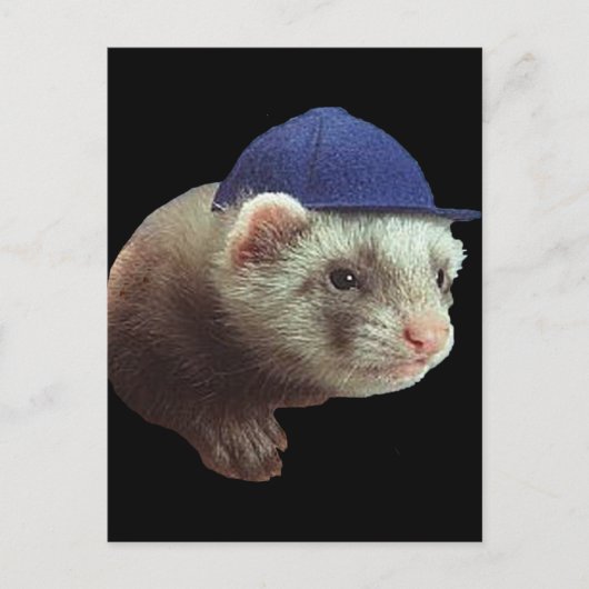Ferret Wearing Pet Briefkaart (Voorkant)