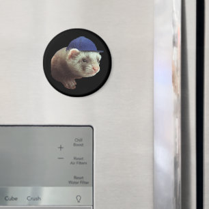 Ferret Wearing Pet Magnet Magneet