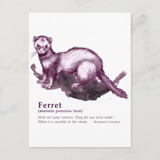 Ferret - wijn briefkaart
