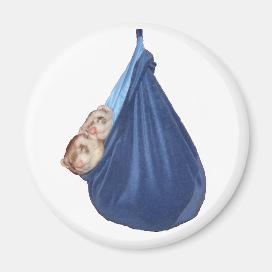 Ferrets Dans Un Magnet De Sac Dormir (Devant)