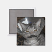 ferris mewler Magnet (Recto/Verso)