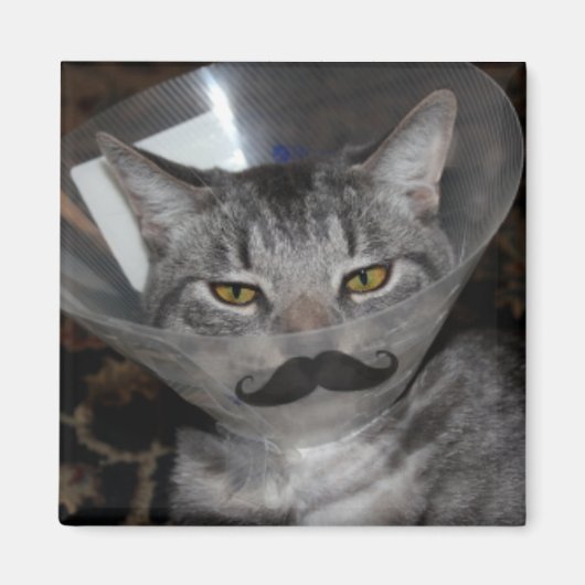 ferris mewler Magnet (Devant)