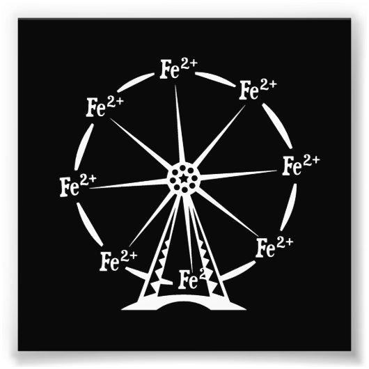 Ferro Ferris Wheel Foto Afdruk (Voorkant)