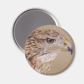 Ferruginous Hawk Magneet (Voorkant / Achterkant)