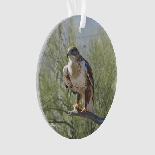 Ferruginous Hawk Ornament (voorkant)