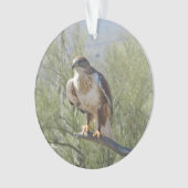Ferruginous Hawk Ornament (voorkant)