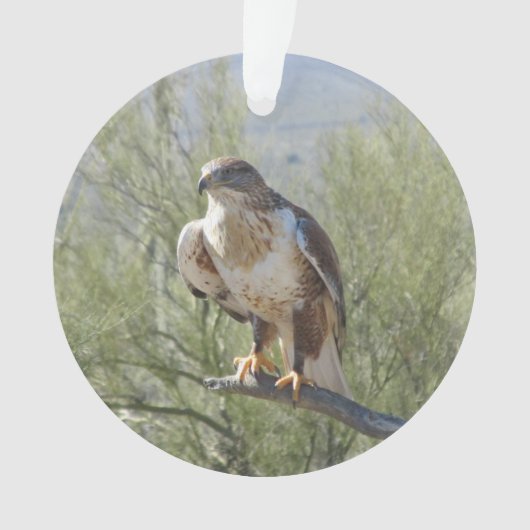 Ferruginous Hawk Ornament (voorkant)