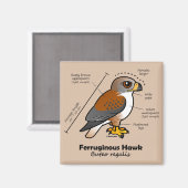Ferruginous Hawk Statistics Magneet (Voorkant / Achterkant)