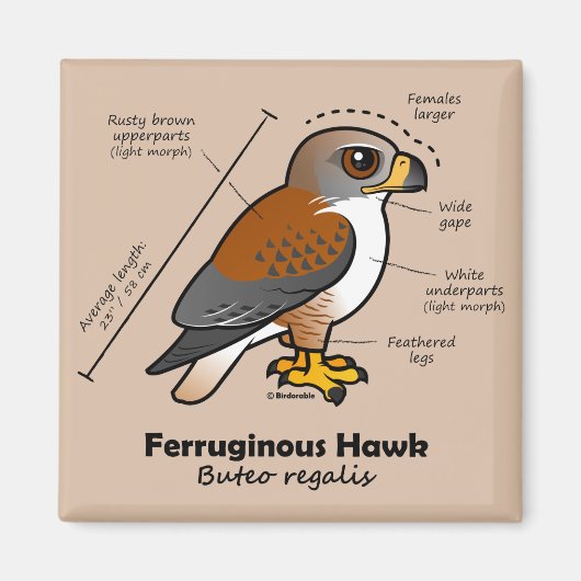Ferruginous Hawk Statistics Magneet (Voorkant)