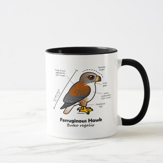 Ferruginous Hawk Statistics Mok (Rechts)