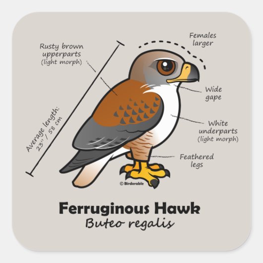 Ferruginous Hawk Statistics Vierkante Sticker (Voorkant)