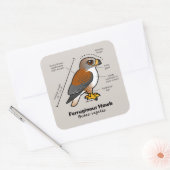 Ferruginous Hawk Statistics Vierkante Sticker (Envelop)