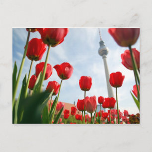 Fersehturm Television Tower Berlin Duitsland Briefkaart