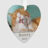Festif Chat Pet Keepsaké photo Noël (devant)