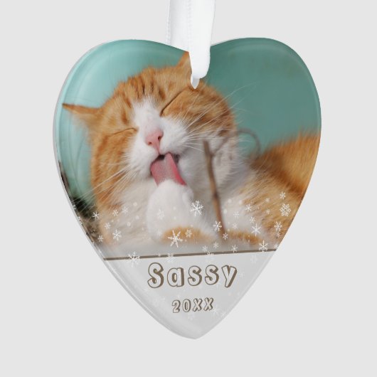 Festif Chat Pet Keepsaké photo Noël (devant)